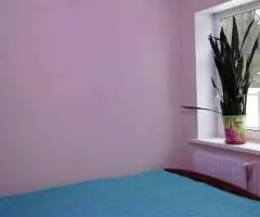 Сдается дом со всеми удобствами на длительный срок. Ленинградская область, Гатчинский район, поселок - 5