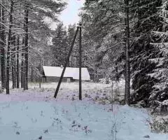 Крепкий домик на эстонском хуторе в хвойном лесу под Старым Изборском - 2