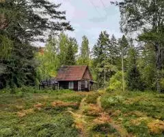 Крепкий домик на эстонском хуторе в хвойном лесу под Старым Изборском - 4