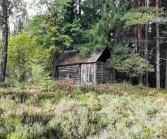 Крепкий домик на эстонском хуторе в хвойном лесу под Старым Изборском - 6