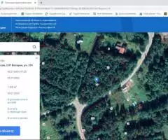 Уютный участок 30 соток в березовой роще под Псковом в СНТ Ветеран - 3