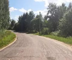 Уютный участок 30 соток в березовой роще под Псковом в СНТ Ветеран - 6