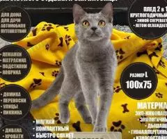 «ECODICA.ru» производитель ЭКОлогического ЗООтекстиля ЭКО-ИННОВАЦИИ товары оптом - 3