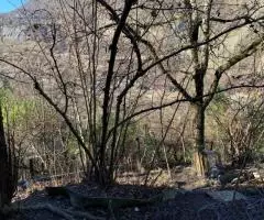 продам дачу - 7