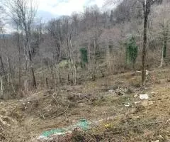 продам участок - 3