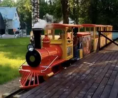 Аттракцион паровозик, аттракцион паровозик купить, рельсовый паровоз, поезд для парка - 2