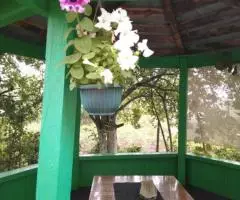 Продаю Дачу для проживания - 5