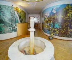 Большой дом для гостиницы или хостела - 3