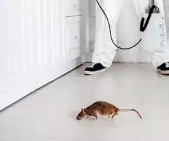 Дезинфекционные услуги - 4