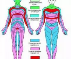 Диагностика РУНO, полное тестирование состояния оpганизма - 2