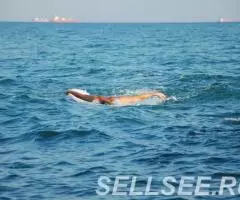 плавание тренер инструктор научу плавать - 2