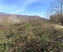 продам участок - 5