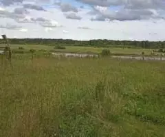 Дом на берегу озера - 6