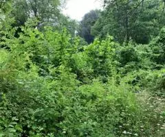 продам участок - 2