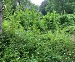 продам участок - 3