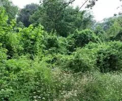 продам участок - 4