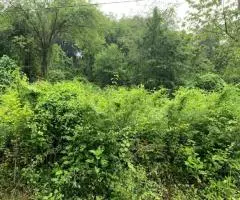 продам участок - 5