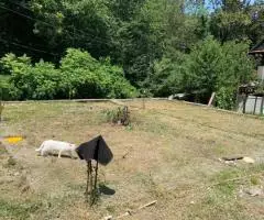 продам участок - 3