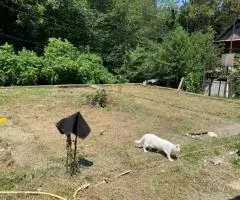 продам участок - 4