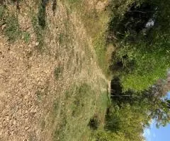 продам дачу на Мацесте - 8