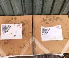 Пильный диск NOOK 500мм - 3