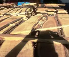 Доска Дуб Бук Ясень Карагач Акация Яблоня Орех - 4