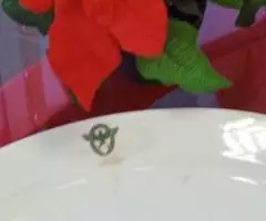 Сумасшедший трофейный антиквариат! - 7