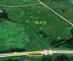 Земельный участок 56,4 Га, в Муромцево, Волоколамский г.о. - 2