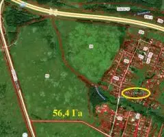 Земельный участок 56,4 Га, в Муромцево, Волоколамский г.о. - 5