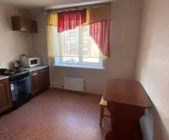 сдам 1к кв. пр. Пионерский 60 - 2