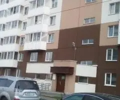 сдам 1к кв. пр. Пионерский 60 - 7