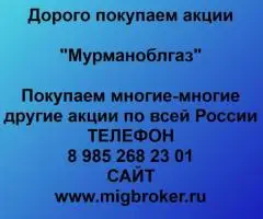 Продать акции «Мурманоблгаз» по выгодной цене!