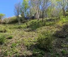 продам участок - 3