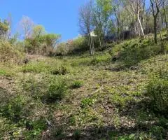 продам участок - 4