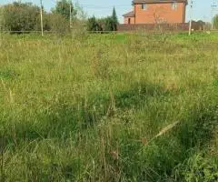 Участок 5,5 соток в Озерецкое, Дмитровский г.о. - 2