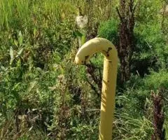 Участок 5,5 соток в Озерецкое, Дмитровский г.о. - 5