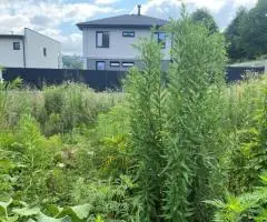 продам участок - 4