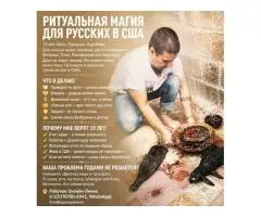 ГАДАНИЕ ОНЛАЙН ШТАТ ФЛОРИДА, МАЙАМИ. ПРЕДСКАЗАНИЕ, КАРТЫ ТАРО