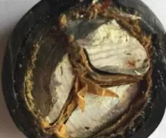 Силовой кабель ААШв-3 120мм. кв. ОЖ -1. До 1000вольт . - 4