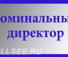 Номинальный директор без опыта, оплата ежедневно.