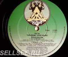 Steve Hillage - Fish Rising UK - 3