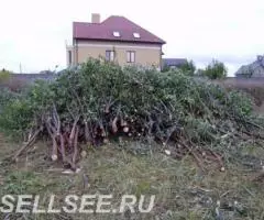 Благоустройство сада - 2