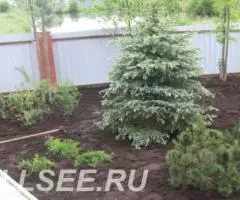 Благоустройство сада - 3