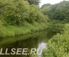 Участок на берегу реки в Черёхе - 4