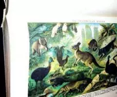 Эксклюзивный словарь - 4