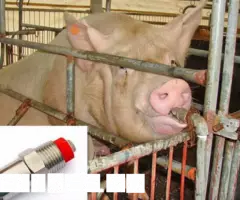 Ниппельная поилка для свиней, коз, овец, кроликов - 3