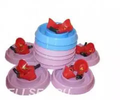 Поилка вакуумная для птиц под стандартную банку - 3