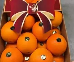 Продаем апельсин из Испании - 3