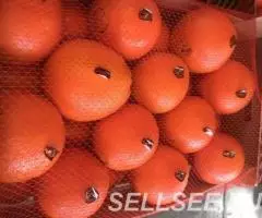 Продаем апельсин из Испании - 4