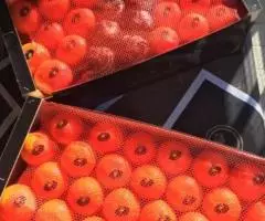Продаем мандарины из Испании - 2